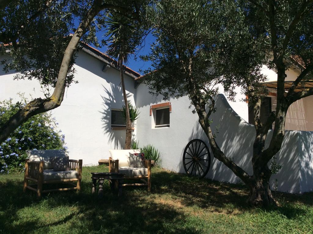 Terre De Boheme Otel Vestric-et-Candiac Dış mekan fotoğraf