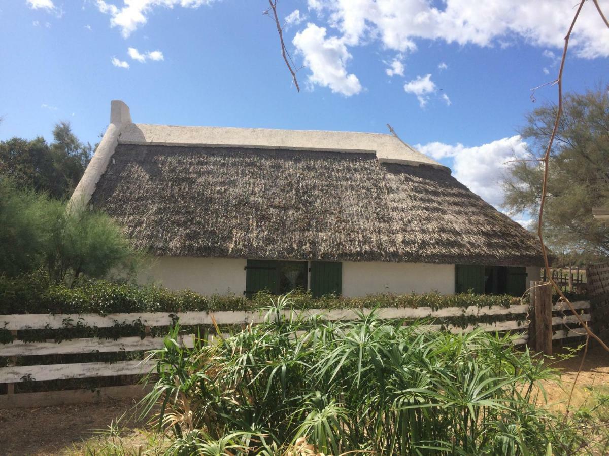 Terre De Boheme Otel Vestric-et-Candiac Dış mekan fotoğraf